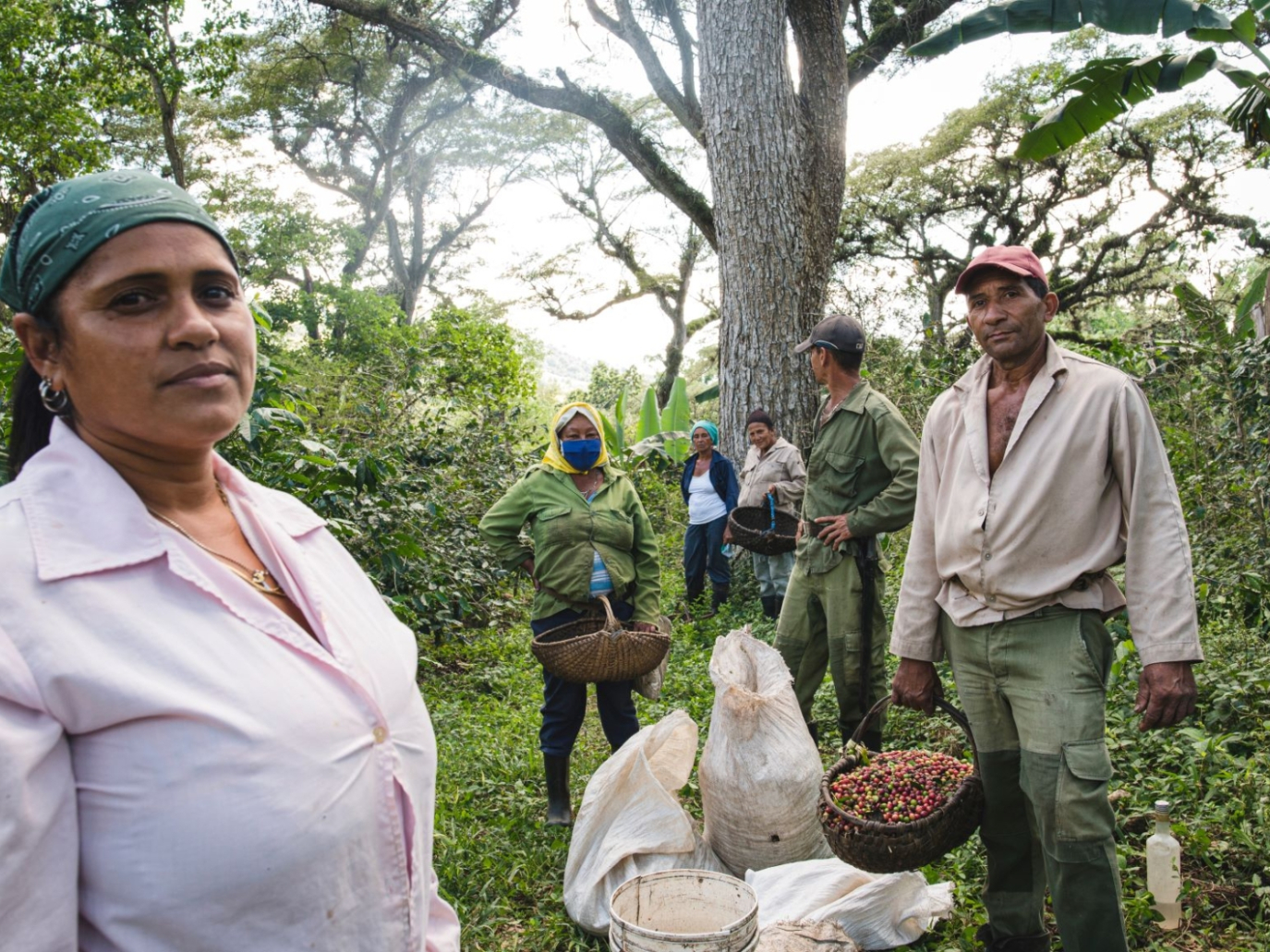 L’esperienza di Lavazza a Cuba, una storia contemporanea di sostenibilità