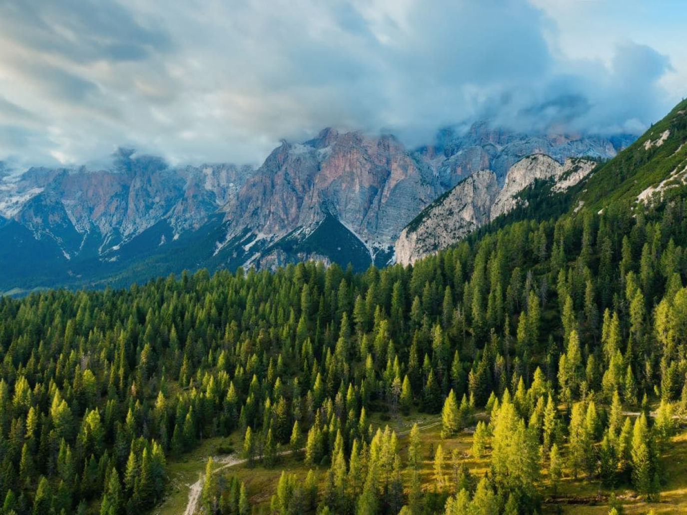 Legacoop Agroalimentare e Legambiente, intesa strategica per i boschi italiani