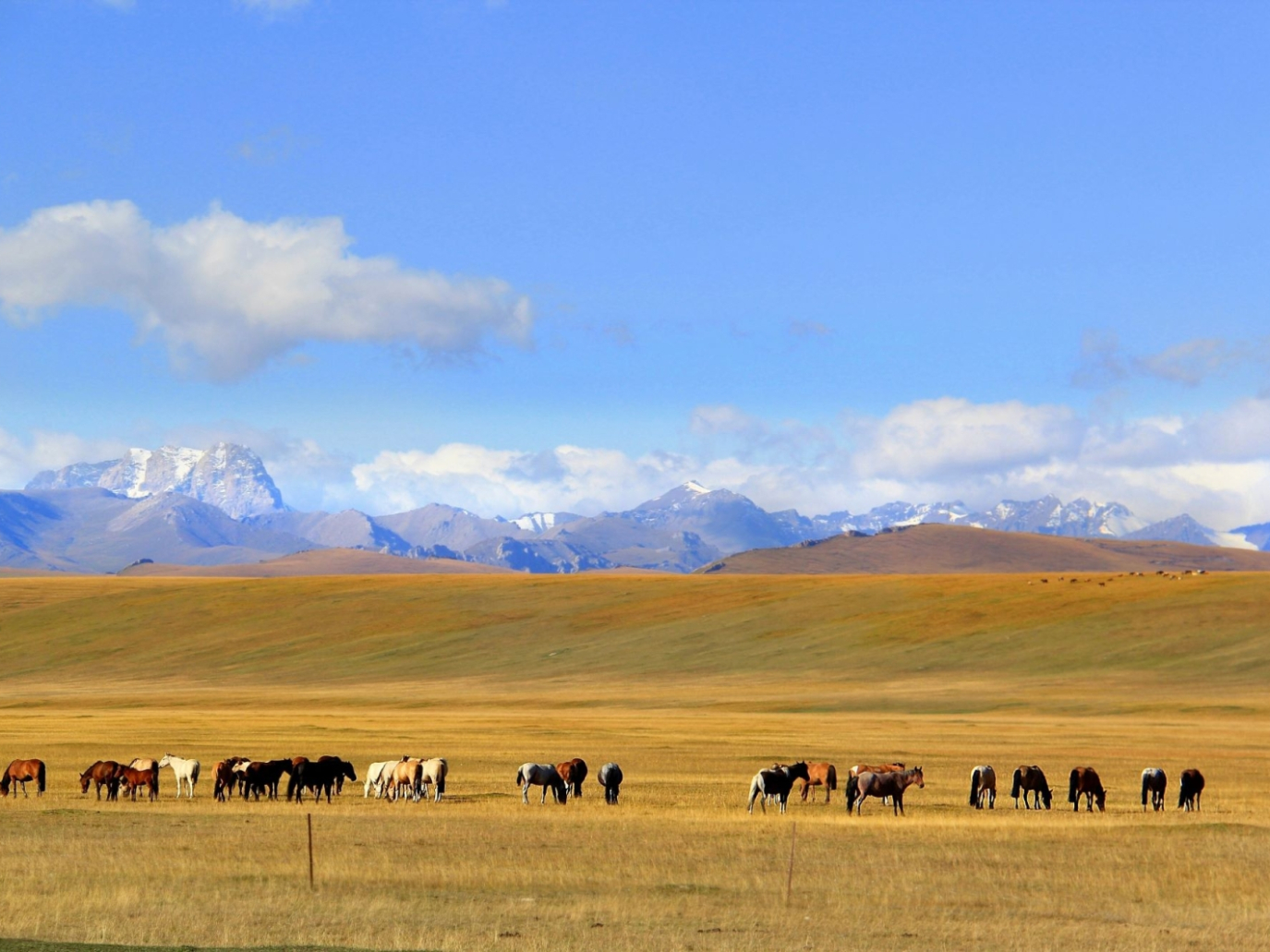 La desertificazione in Cina diminuisce grazie al clima e all’agricoltura