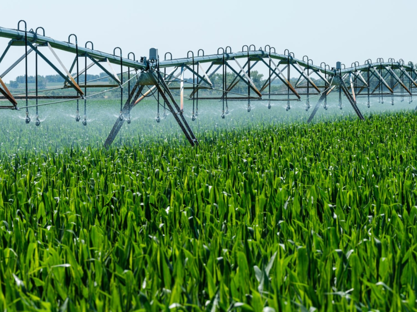 A Firenze il Forum internazionale sulle biotecnologie industriali e la bioeconomia