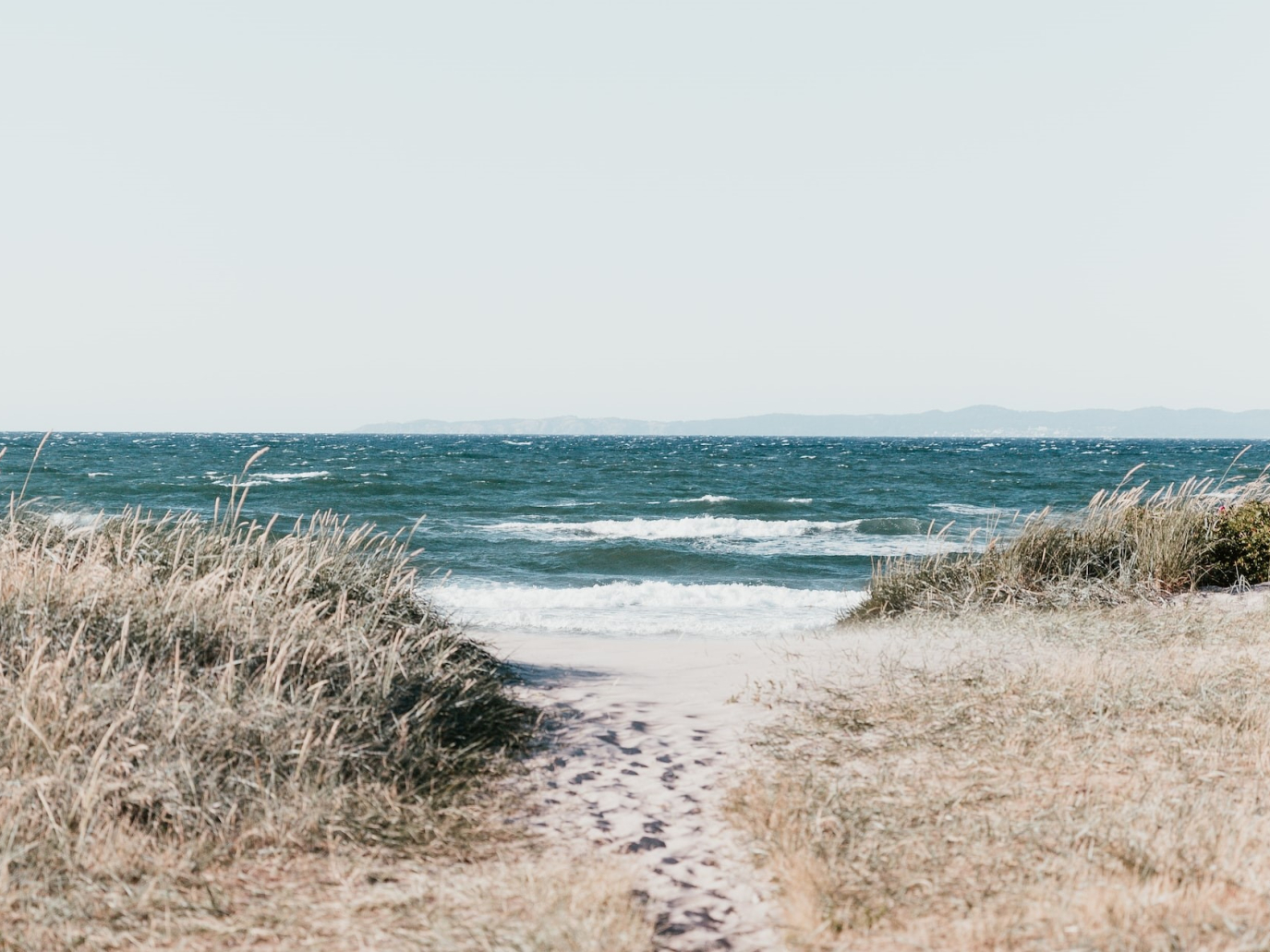 Un Patto con il Mare per la Terra