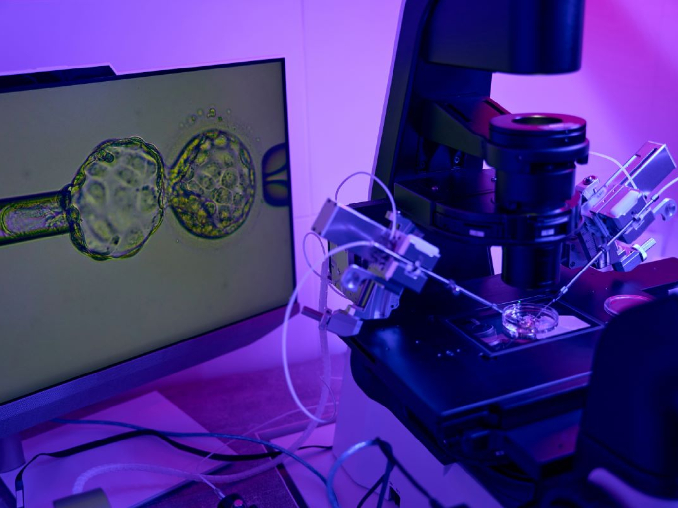 Artificial Intelligence Revolutionises the Lab