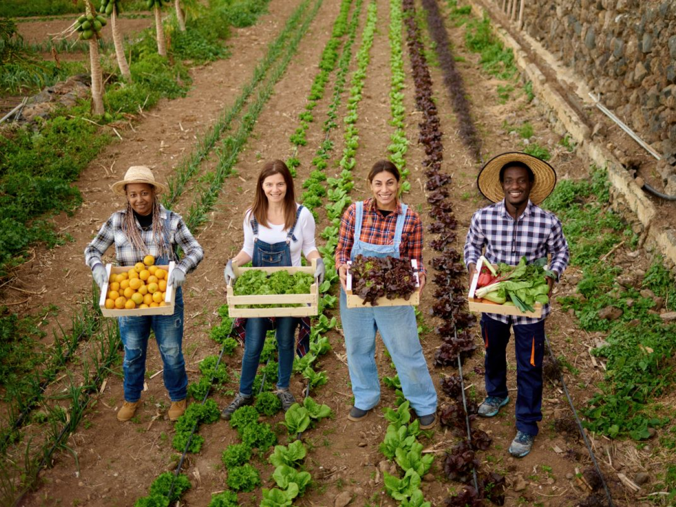 Ripensare un’agricoltura più sostenibile con la Farming for Future Foundation