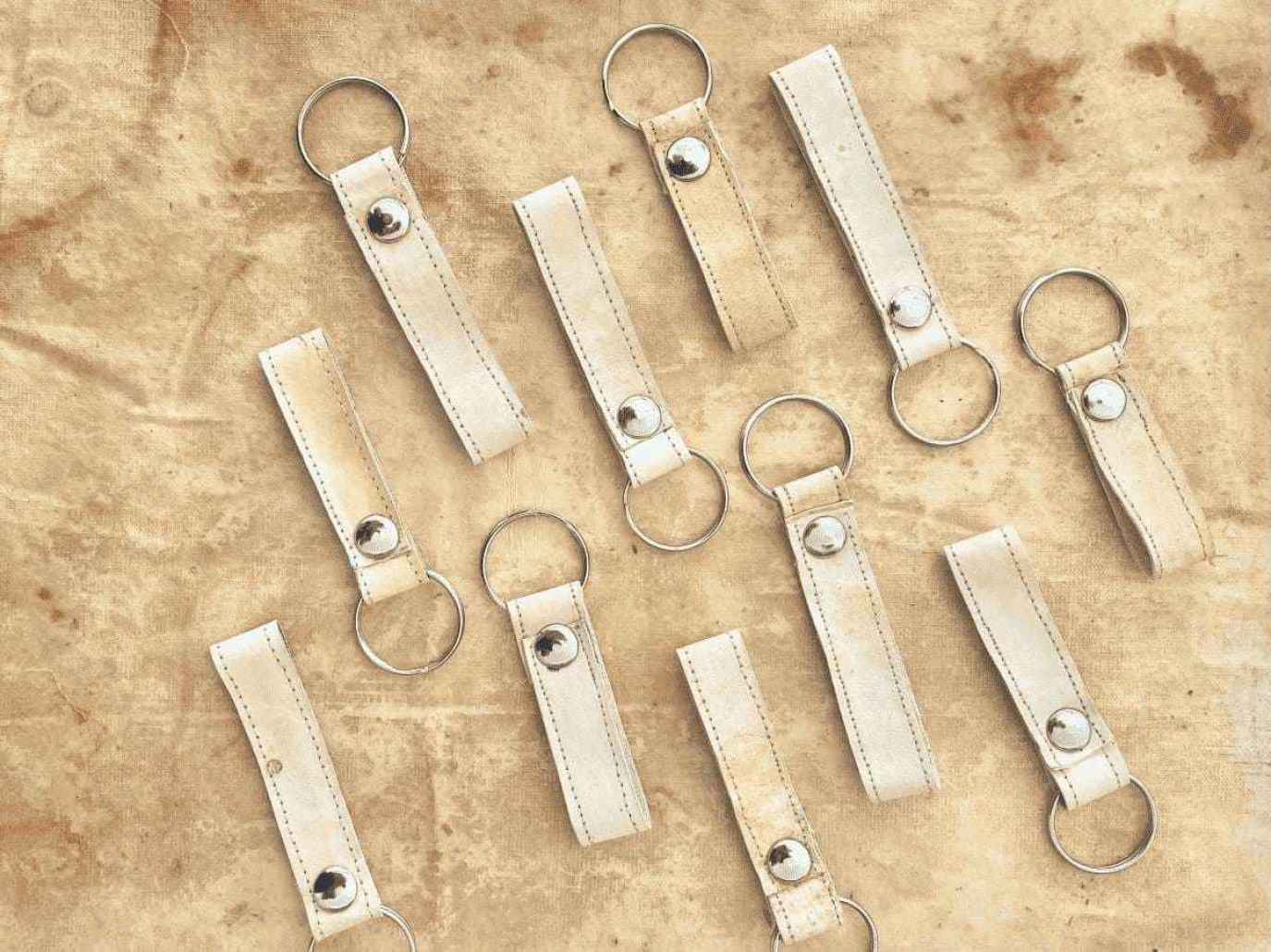 Startup, Mycelium-based Eco-friendly Leather from Argentina with Mycorium Biotech