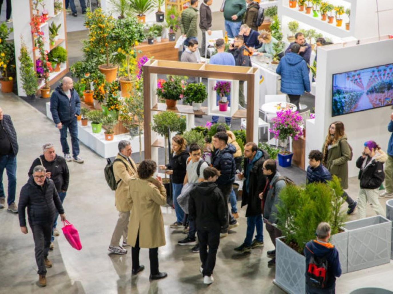 Myplant & Garden, a Milano la “Olimpiade del verde” tra export record e nuove sfide urbane