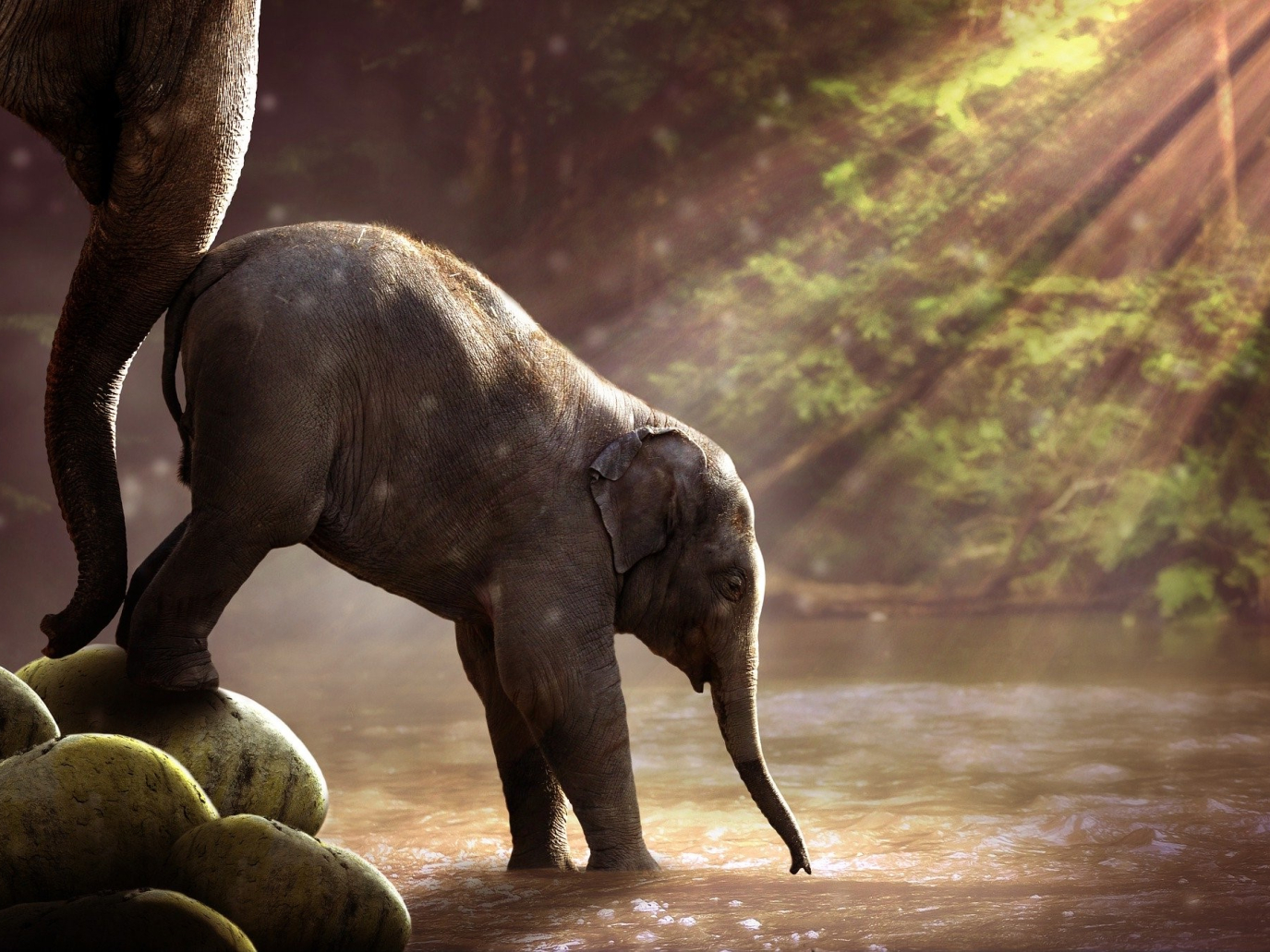 La spinta gentile: il nudge nelle politiche per la sostenibilità 