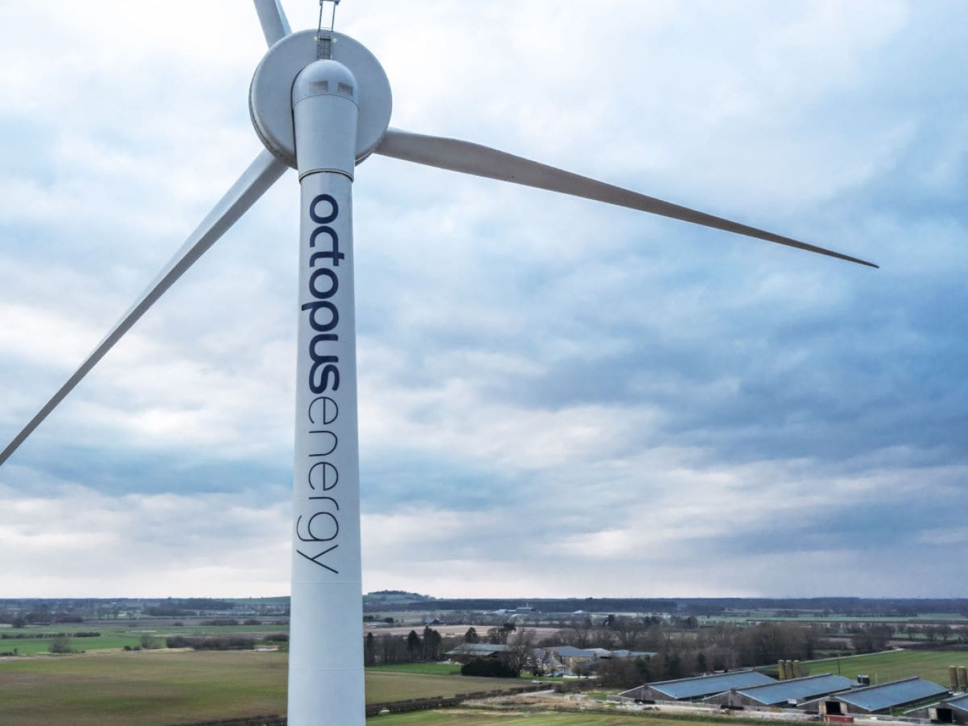 Octopus Energy Italia: crescita record e oltre 100 milioni di investimenti