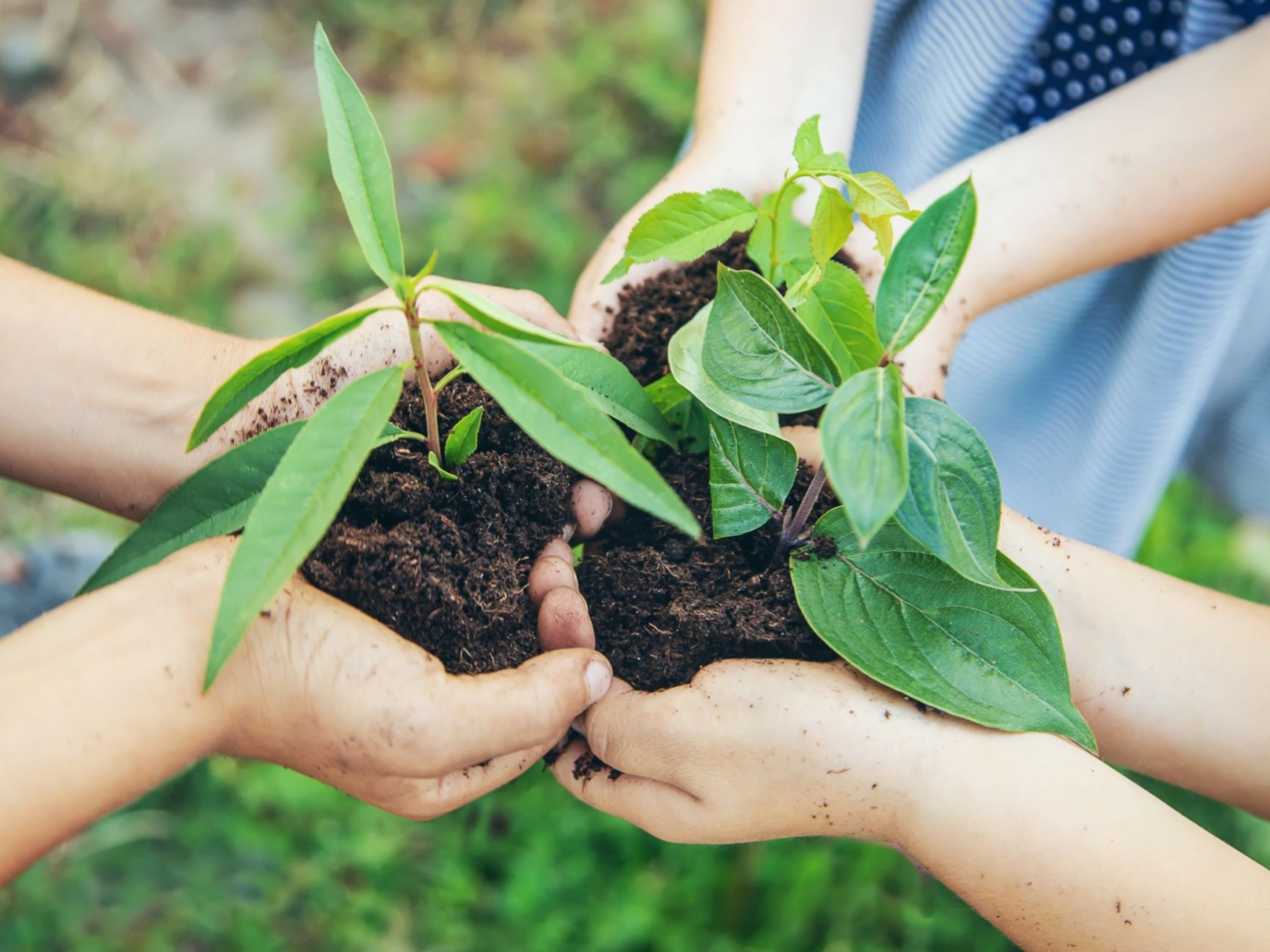 La finanza alternativa del crowdfunding può accelerare la transizione energetica