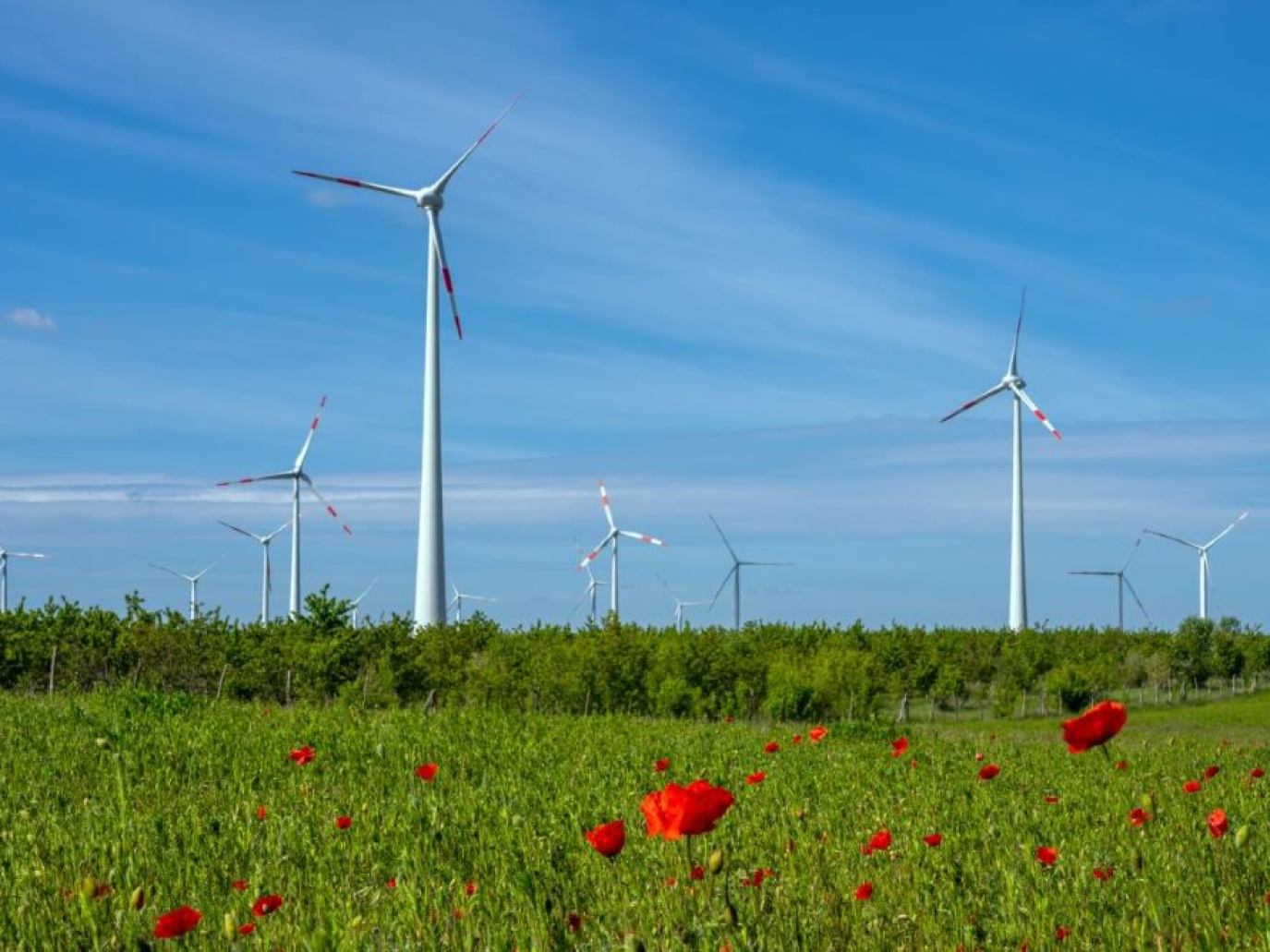 Per sbloccare l’eolico in Italia servono regole omogenee e tempi certi