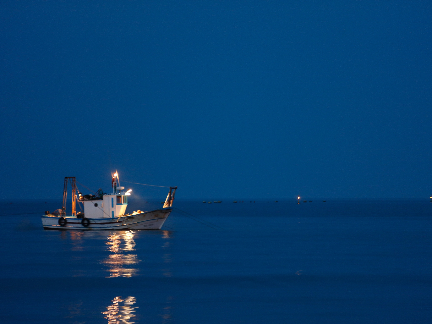 Mari puliti e pesce sano. La sicurezza alimentare passa dall’attività sinergica di filiera