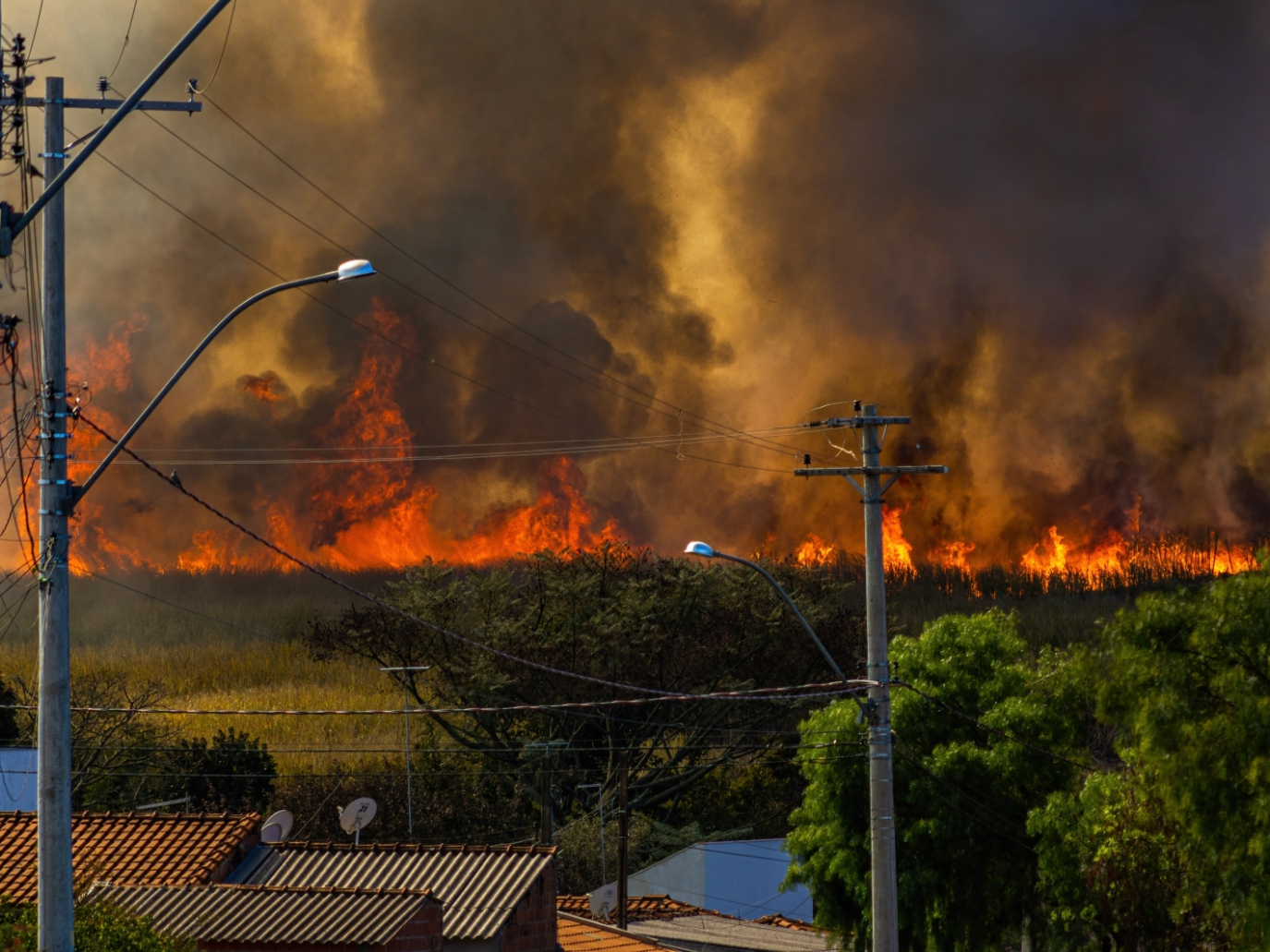 Le emissioni degli incendi boschivi impattano sul cambiamento climatico