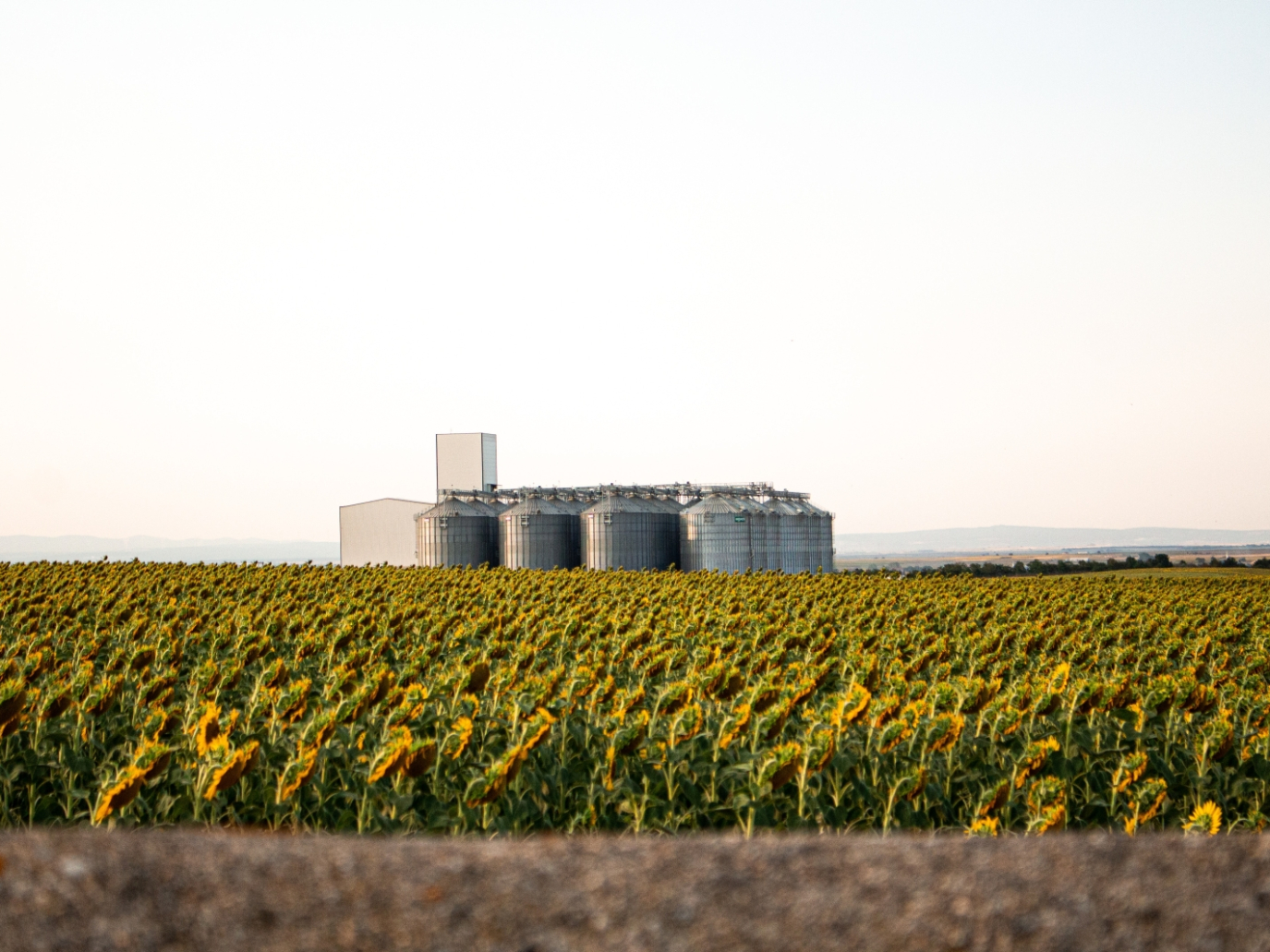 Biometano, accordo Agatos-Demeco per 4 impianti in Romania a tecnologia Biosip