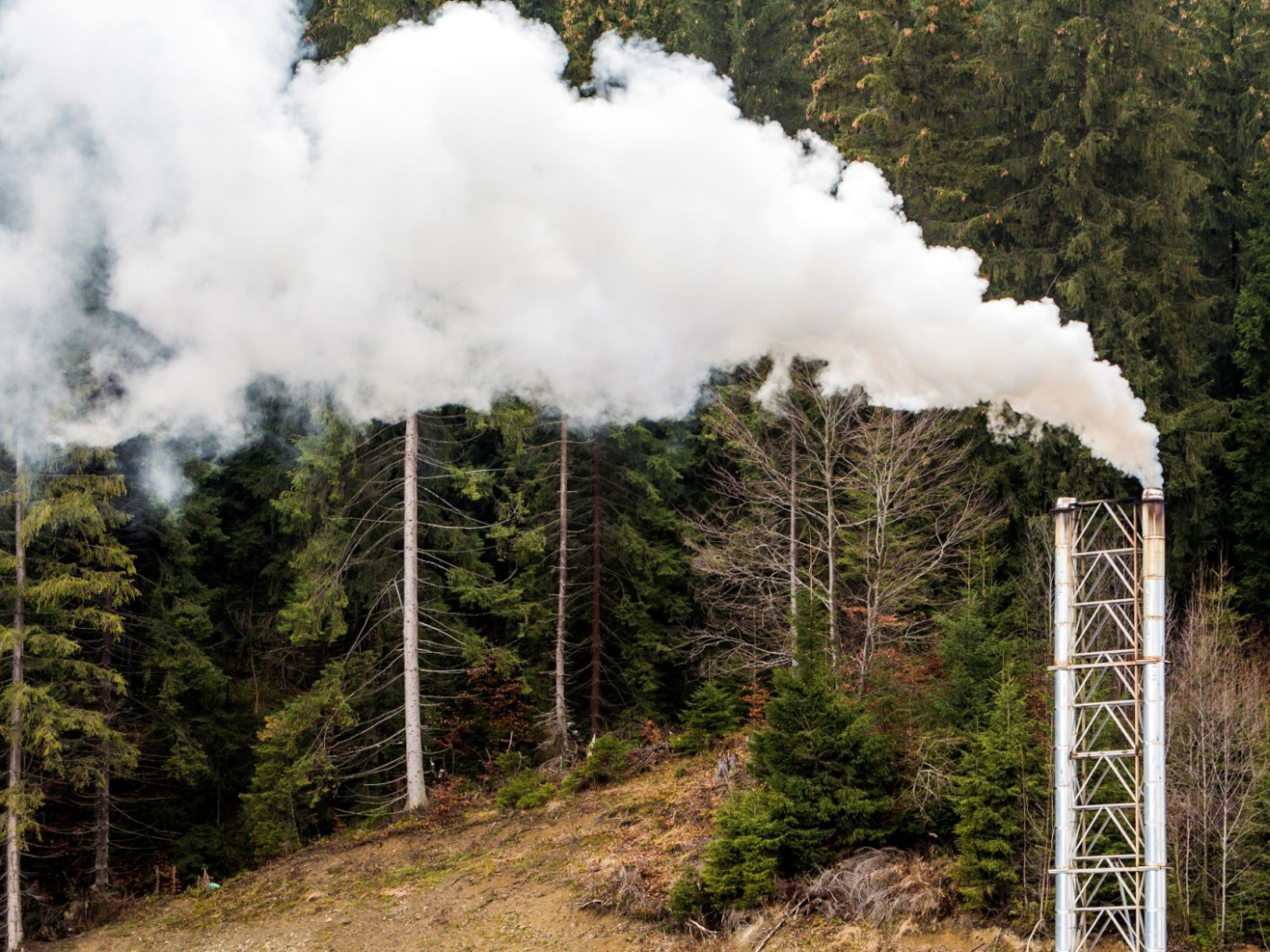 Il mercato dei crediti di carbonio è in crisi