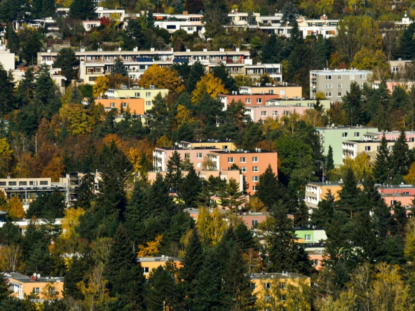 Progetto BioForest, un ponte tra rigenerazione e adattamento al climate change