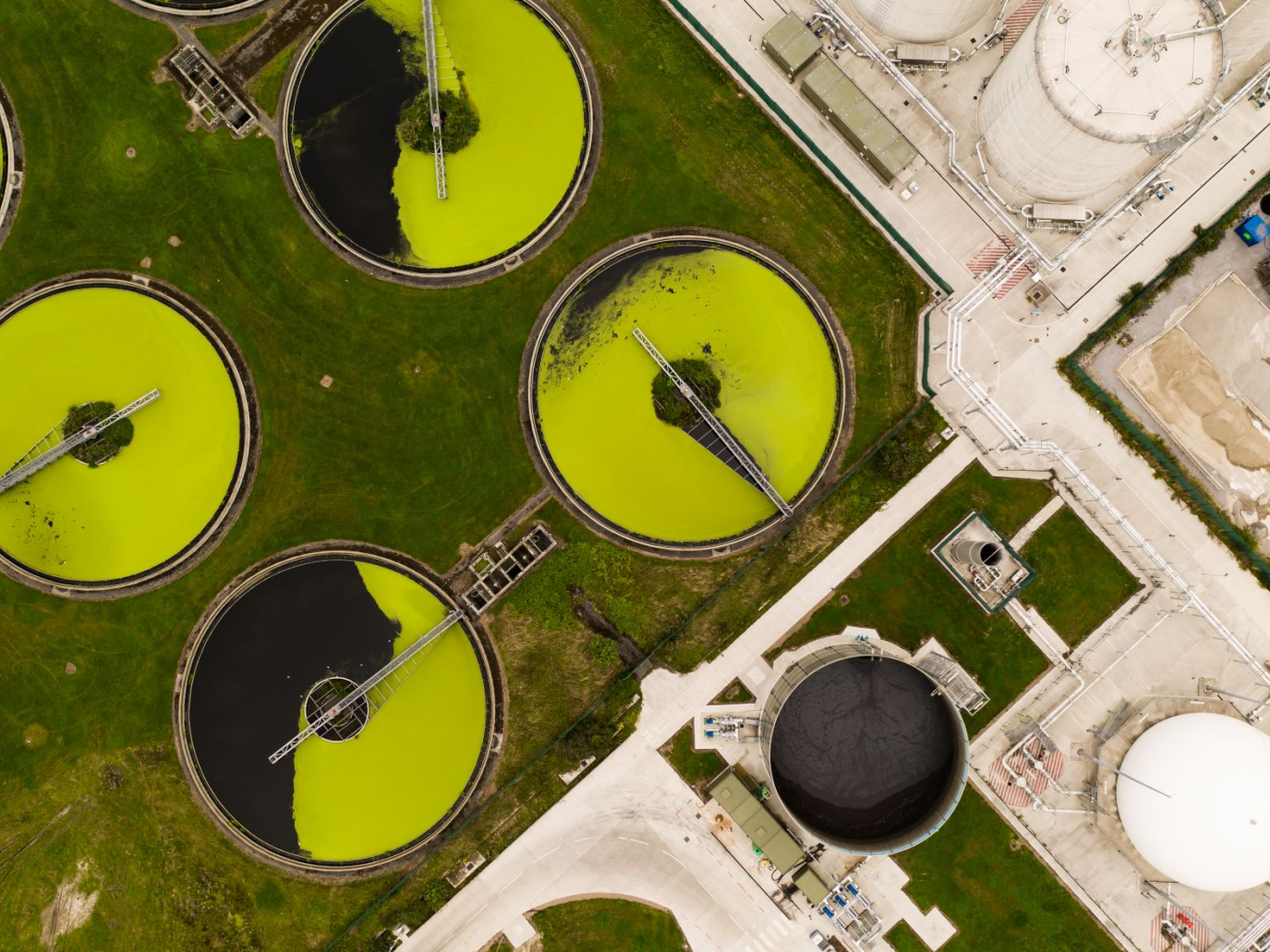 Startup: energia e acqua pulita dalle acque reflue con Wase