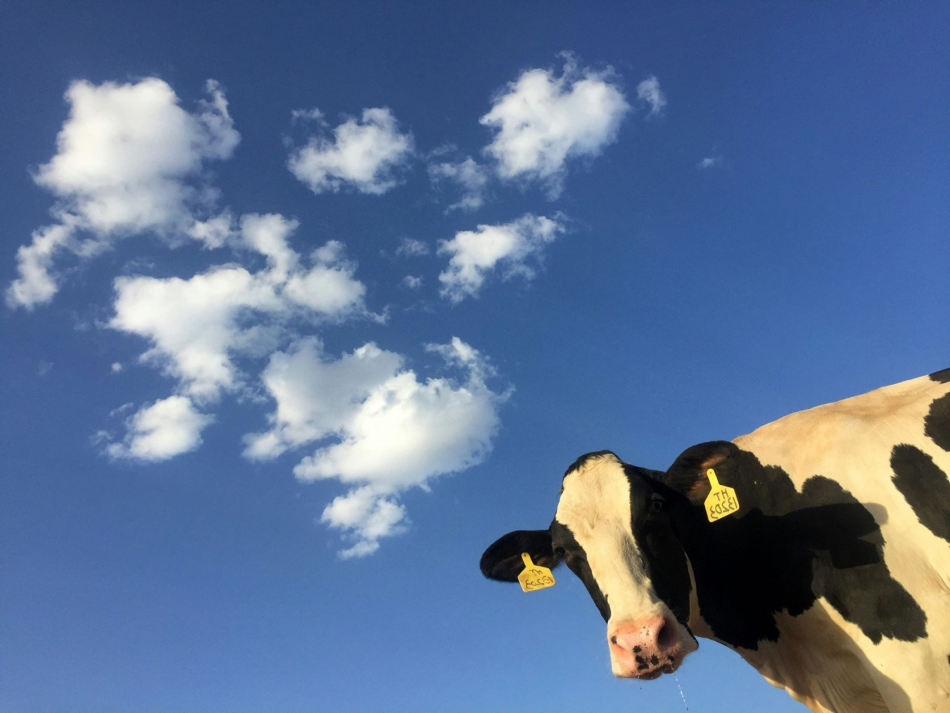 EU: 90% emissions cut by 2040, with the help of nuclear power but without that of agriculture