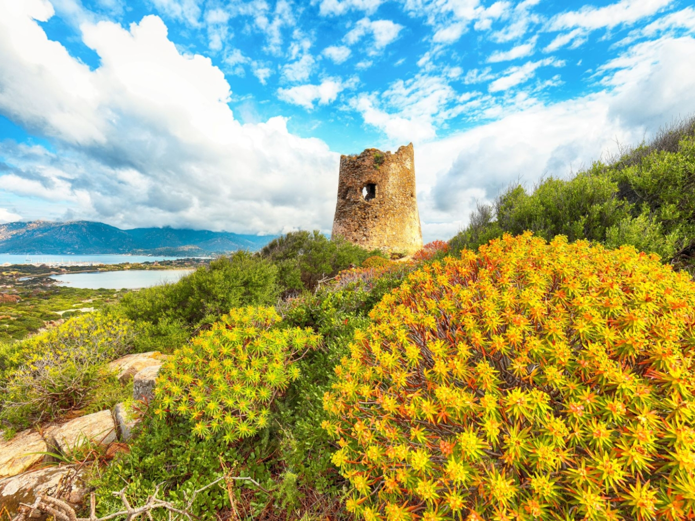 Perché la Sardegna ha deciso di fermare le rinnovabili