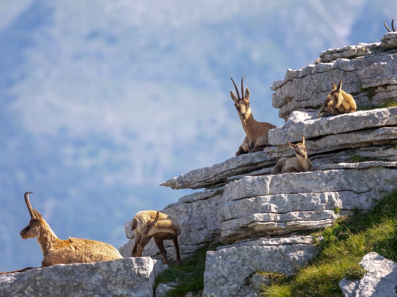 Sesto Rapporto sul capitale naturale in Italia: 58 ecosistemi a rischio