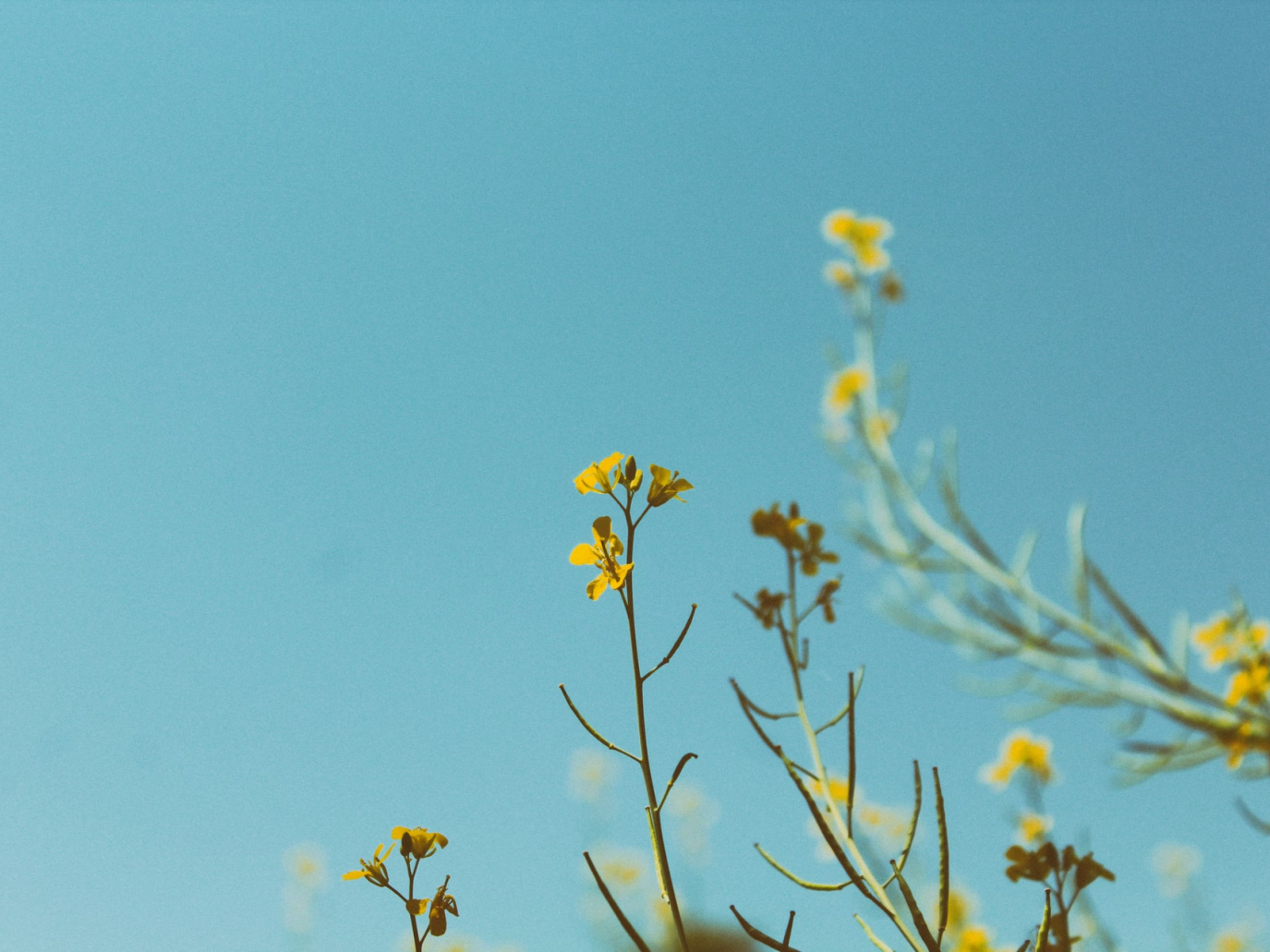A Brescia e in Franciacorta al via il Festival Carta della Terra