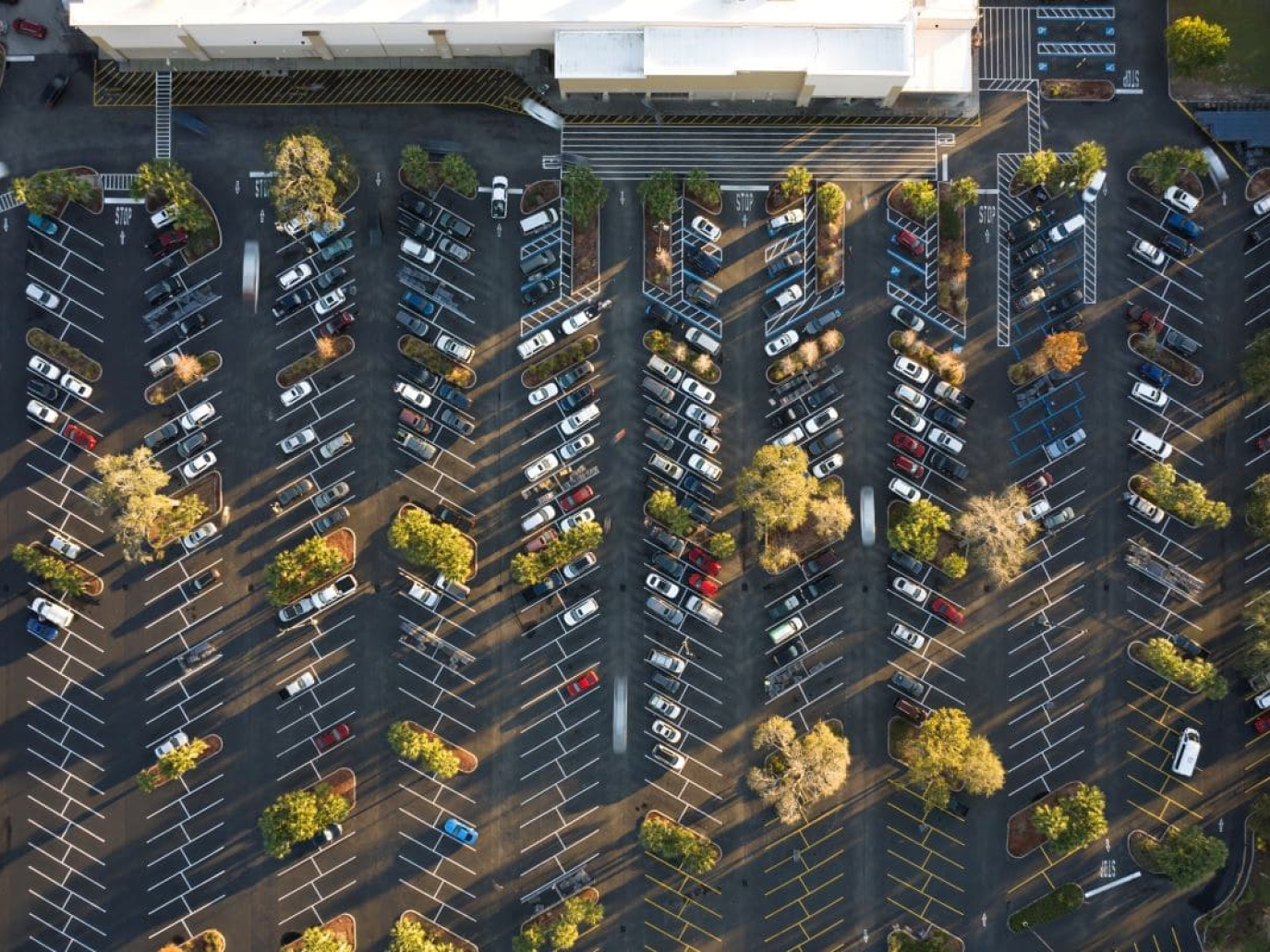 Smart parking policies improve city dwellers’ lives