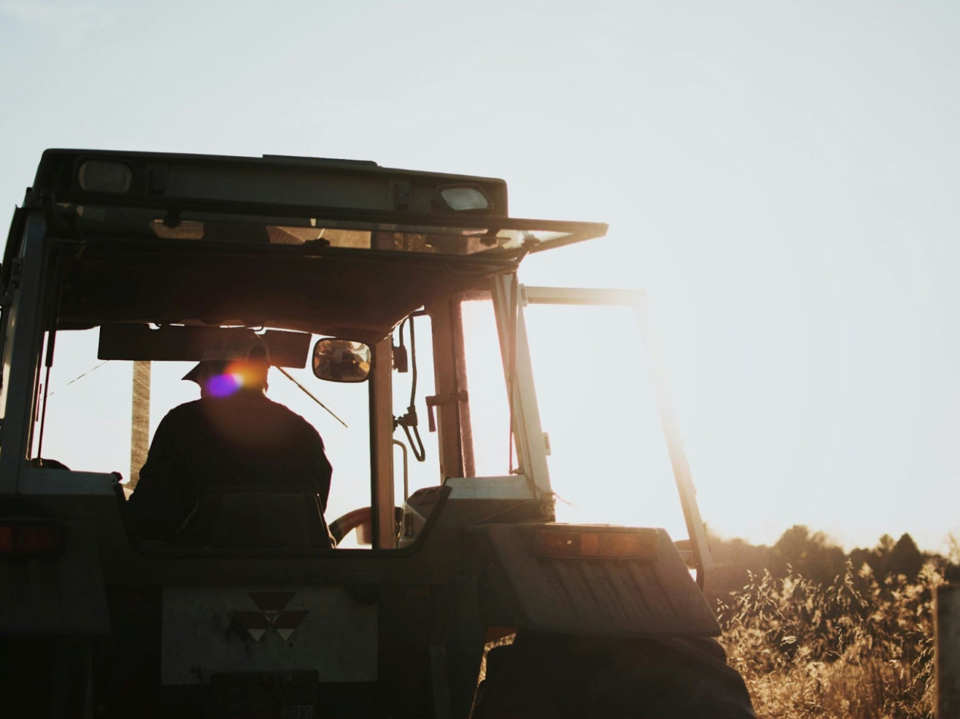 Nell’agroalimentare italiano un gap di competenze ostacola la transizione