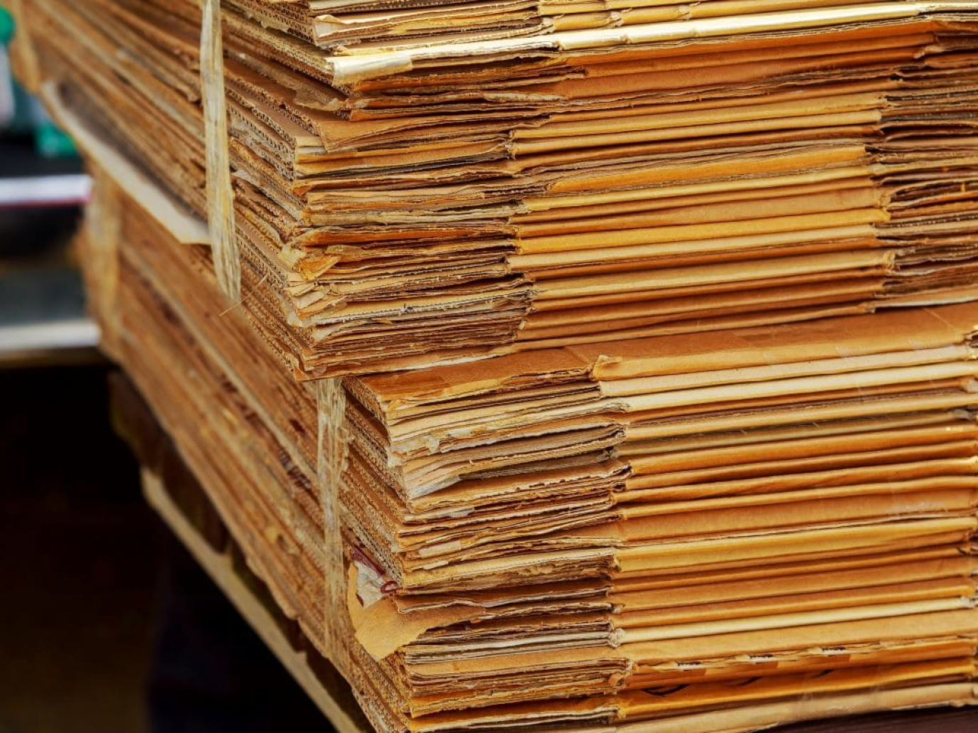 L'industria della carta USA contro la legge europea anti-deforestazione