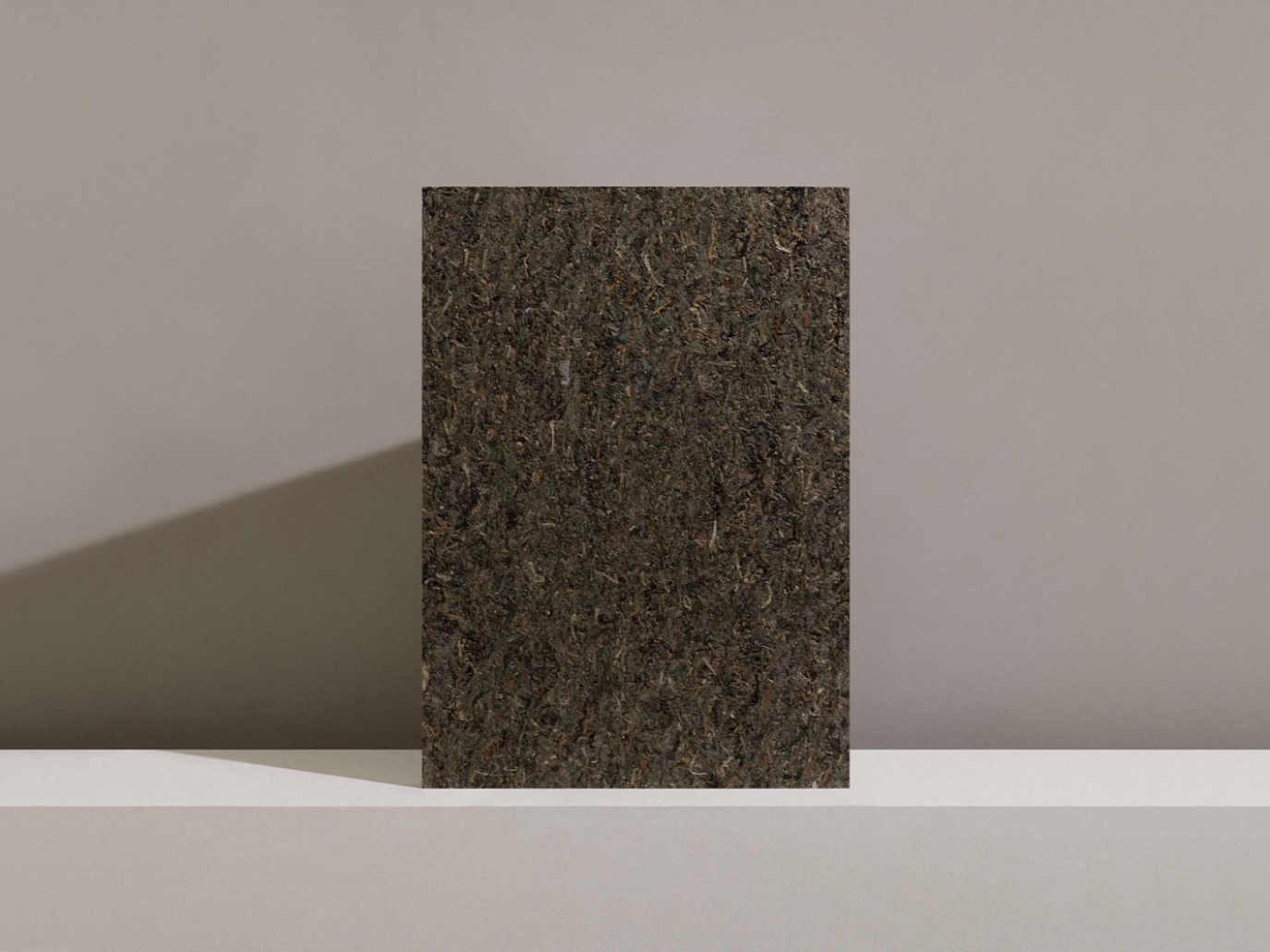 Startup: Søuld, dalla zostera marina materiali progettati per la circolarità