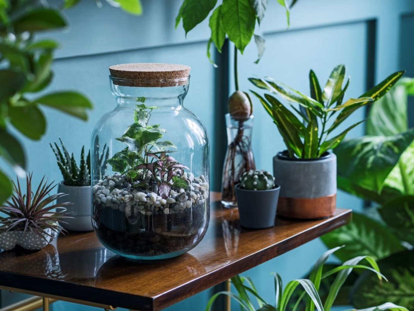 Myplant & Garden 2025 chiude con successo e guarda al futuro