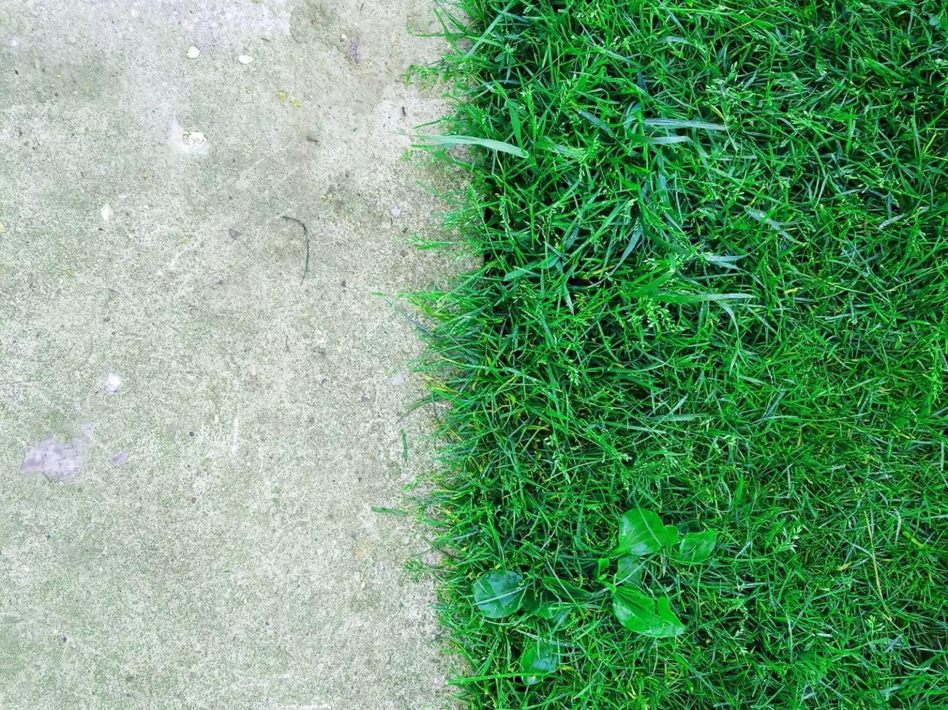 Consumo di suolo: in Italia il cemento cresce più della popolazione