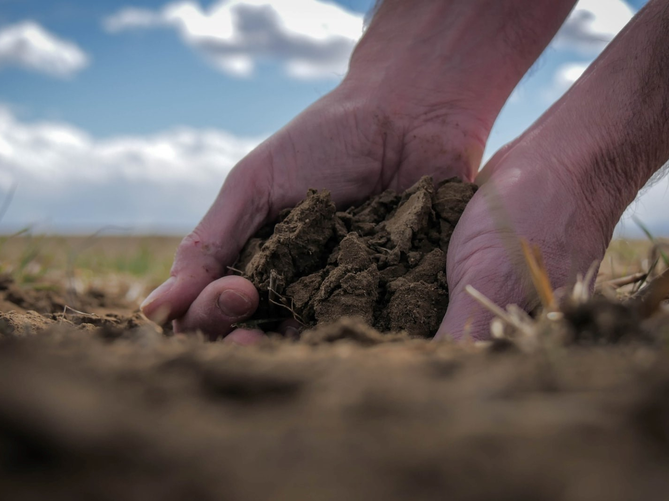 RoboNova: la biotecnologia per rigenerare il suolo