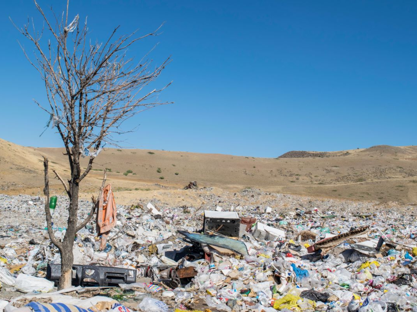 Overshoot Day, il 1° agosto abbiamo virtualmente finito le risorse del pianeta