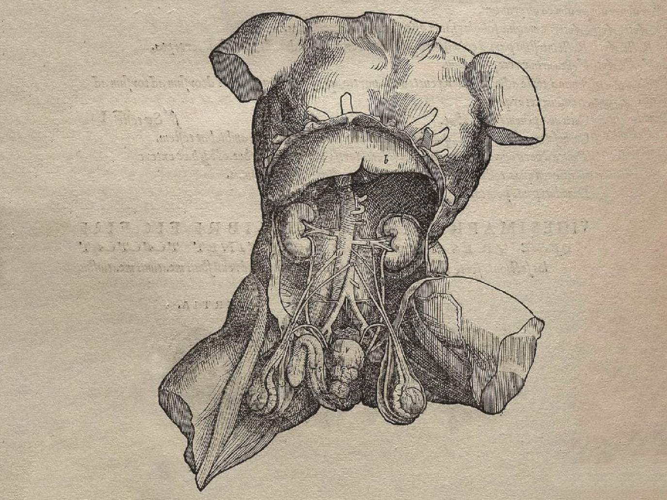 A Long, Healthy Life