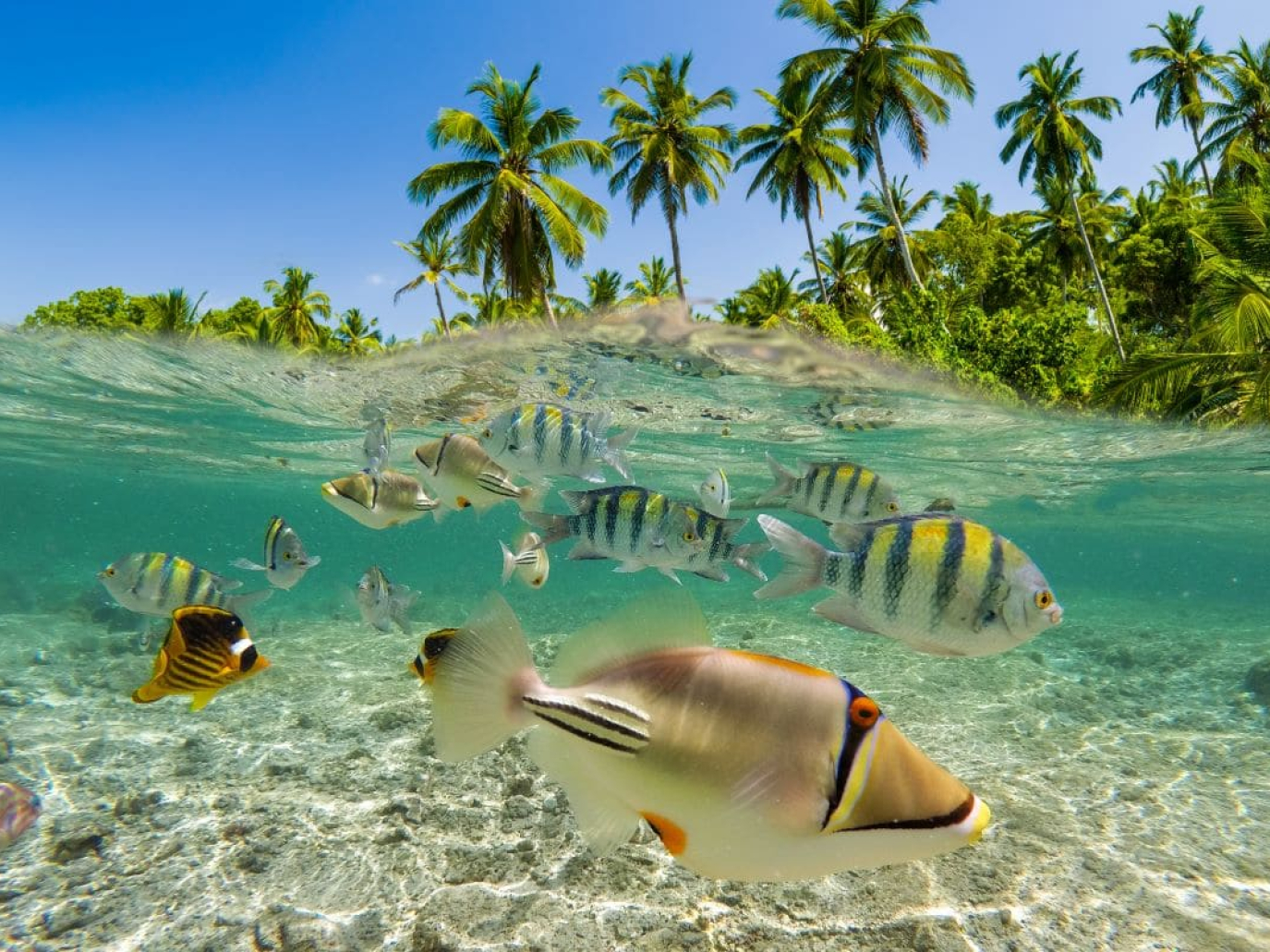 L’America Latina come possibile leader della blue economy sostenibile