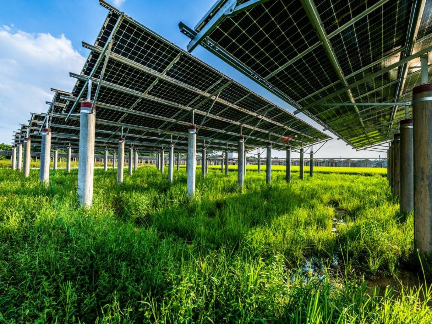 Agrivoltaico per risolvere la competizione tra energia e cibo