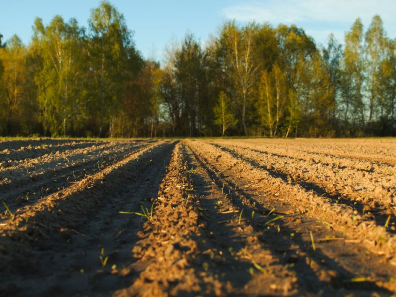 Uso del suolo e CO₂, il GHG Protocol colma il vuoto negli inventari aziendali