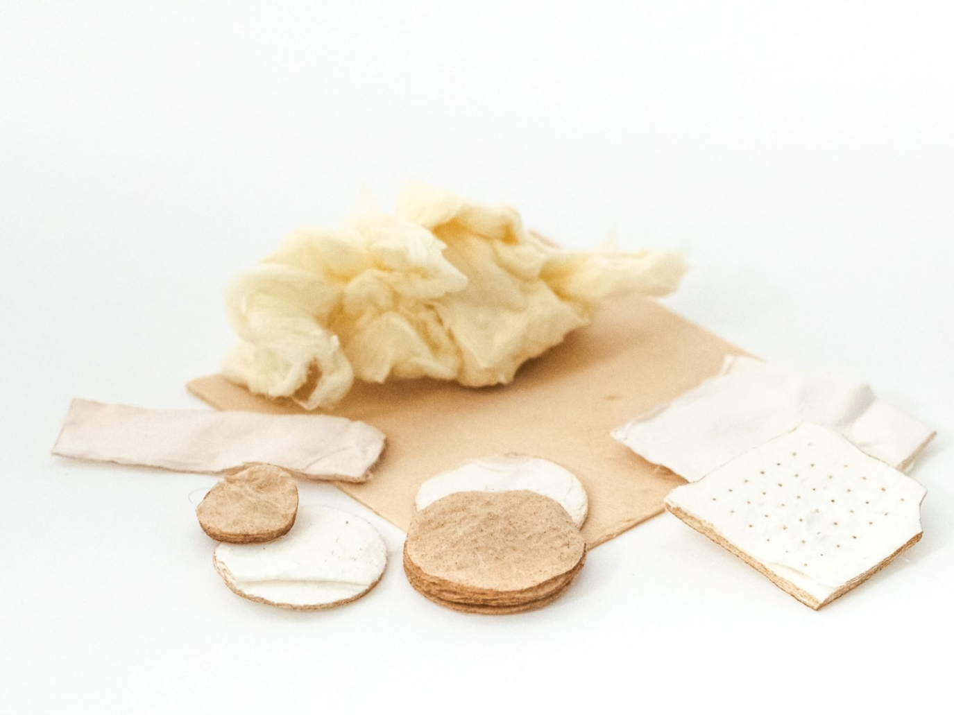 Startup: Nanofibers for lab-grown meat from Gelatex Technologies