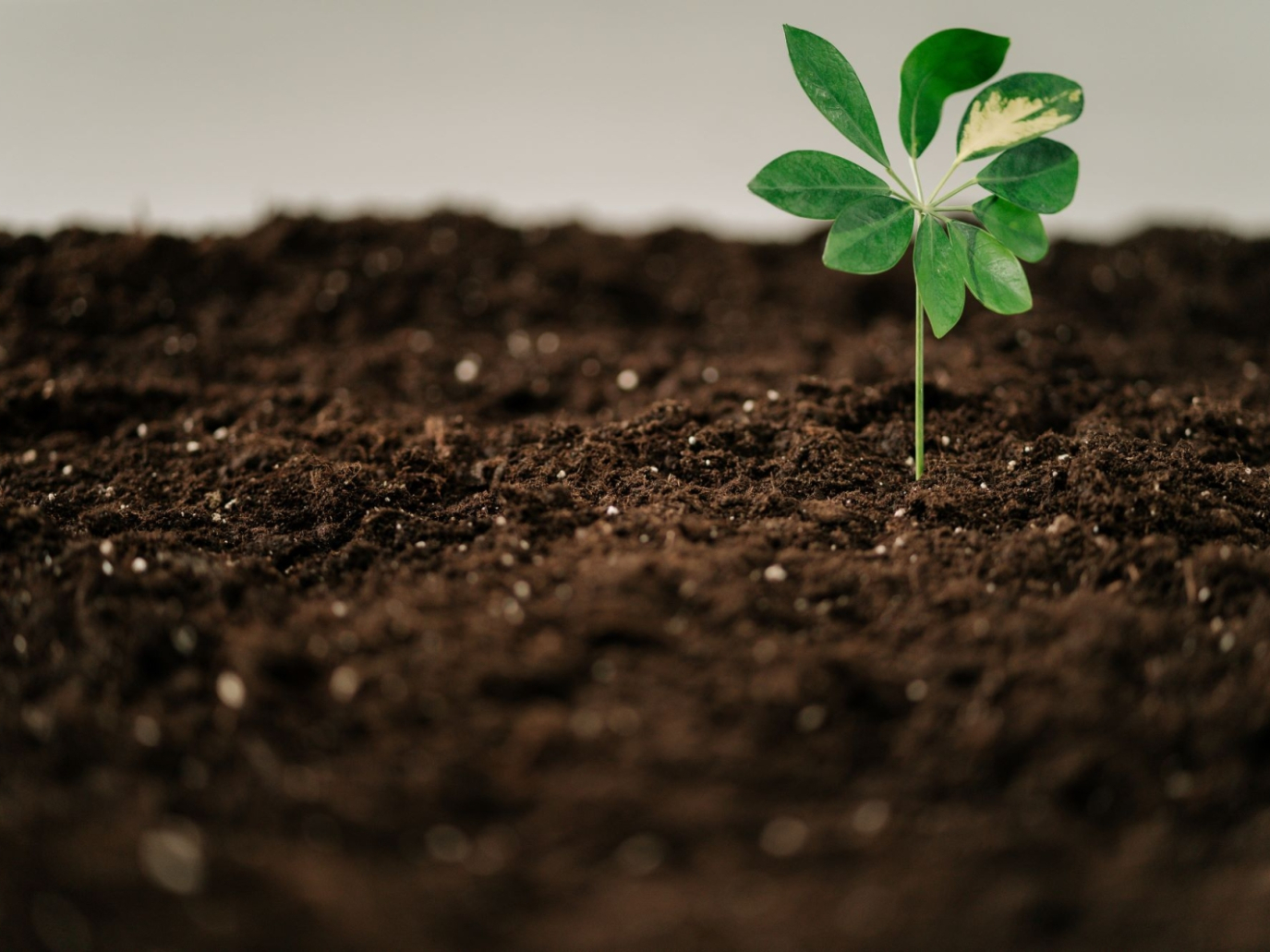 Verso un’economia circolare: settima edizione del Premio di eccellenza nazionale