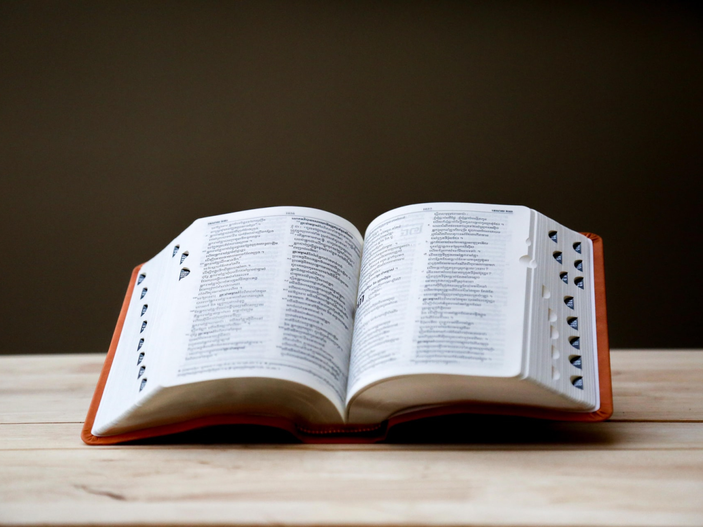 Le parole della transizione ecologica: se il cambiamento comincia dal vocabolario