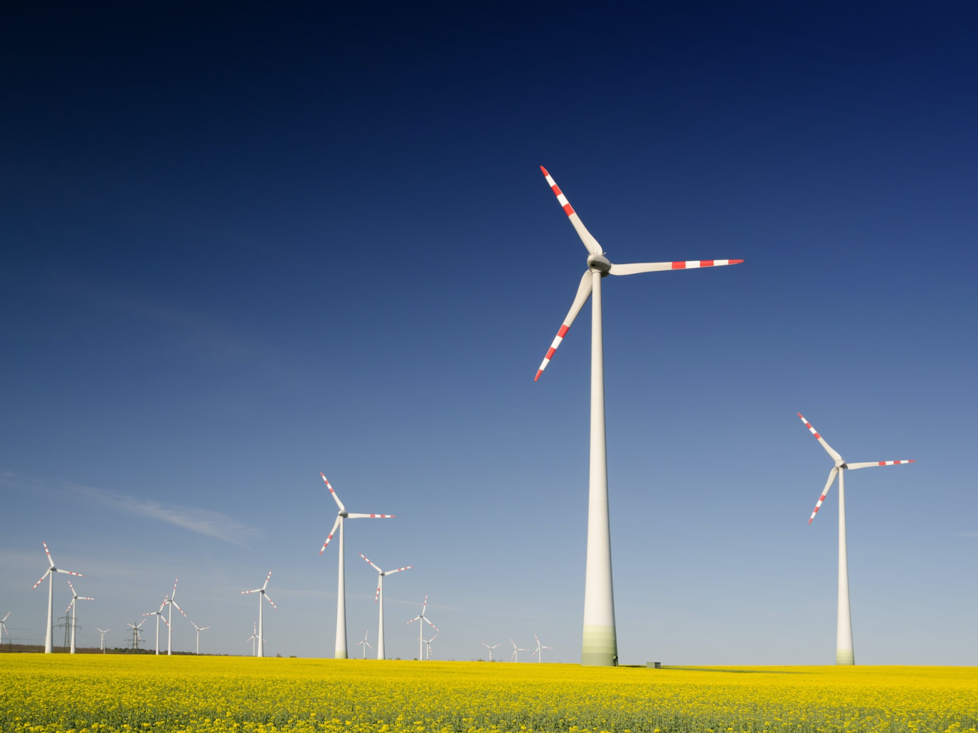 Vannia Gava: transizione ecologica sì, ma graduale