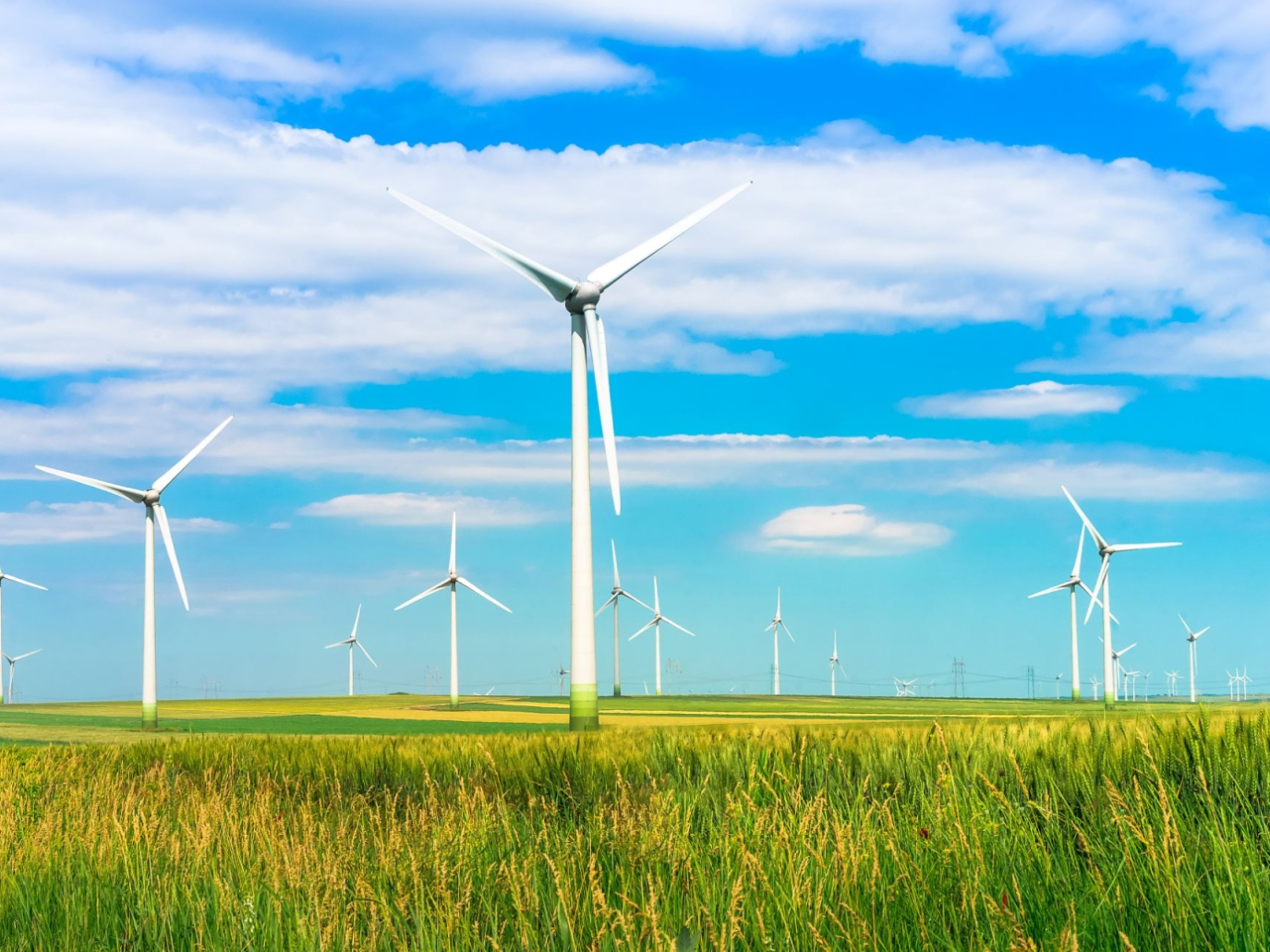 Torna a Parma il Festival della Green Economy 