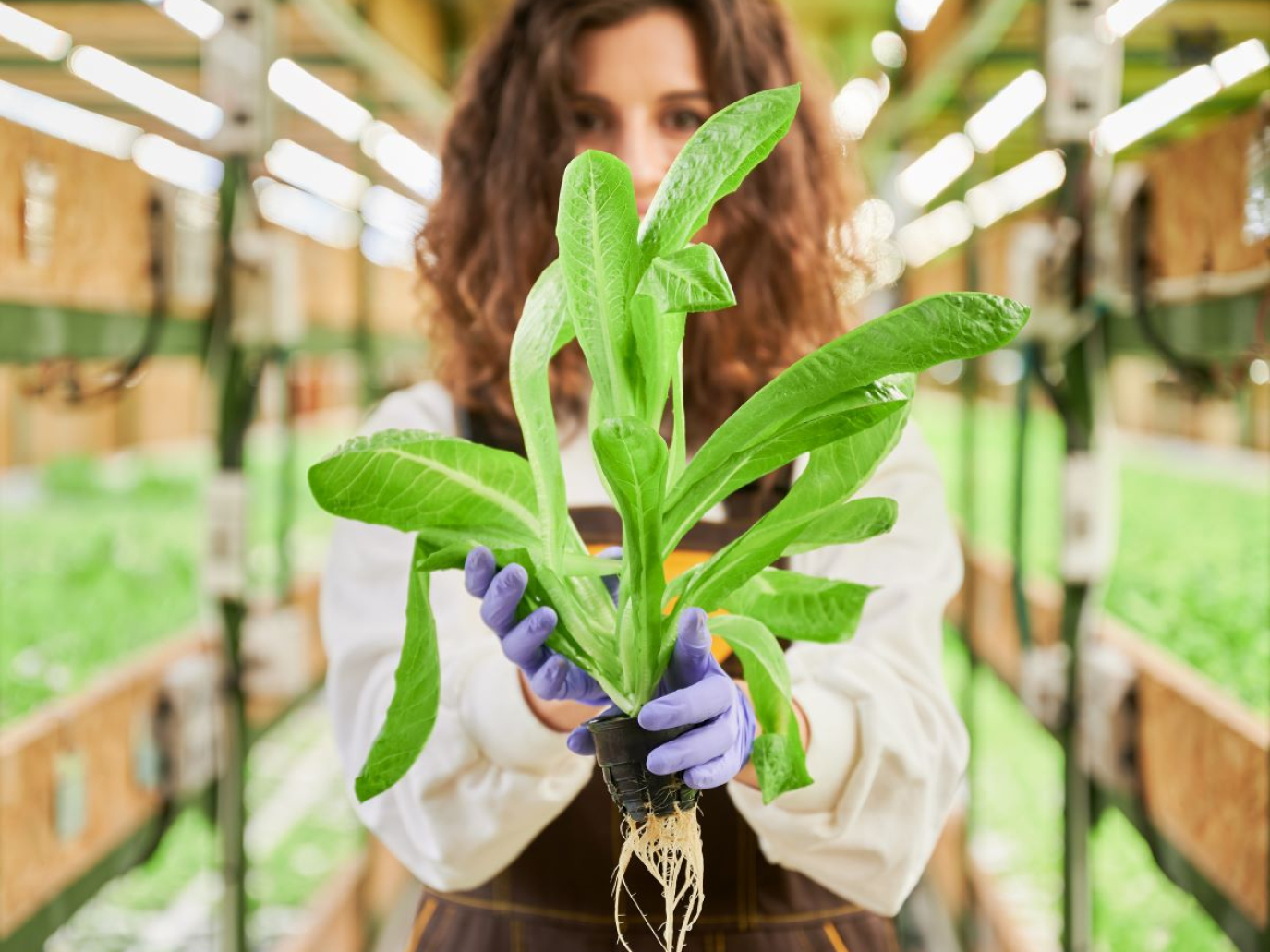 Bioeconomia, le 7 startup selezionate da Terra Next per il programma di accelerazione