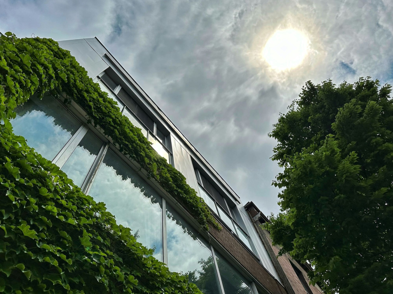 Startup, Climatiq: dati in tempo reale sull'impronta carbonica di prodotti e aziende