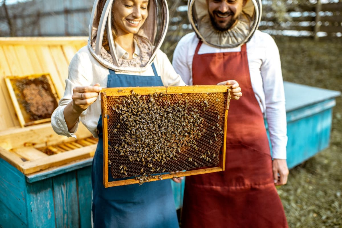 Haiki+ intraprende un nuovo progetto di tutela della biodiversità
