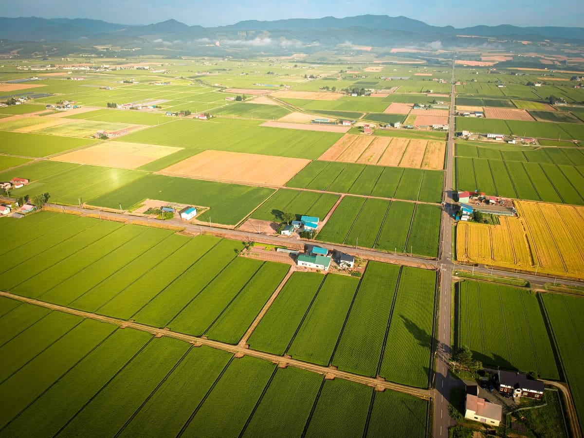 Il GHG Protocol lancia il primo standard globale per misurare gli impatti dell’agricoltura