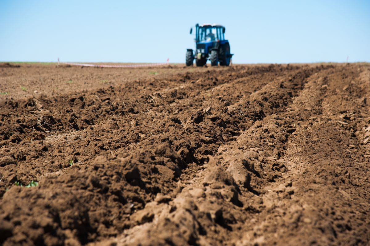 Il Parlamento europeo approva la prima legge sul monitoraggio del suolo UE