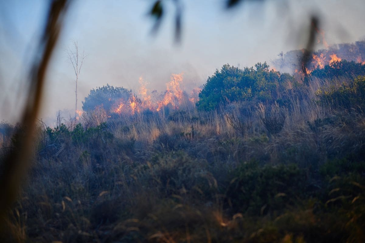 Incendi, aumentano l’intensità e la durata in Europa e Nord America