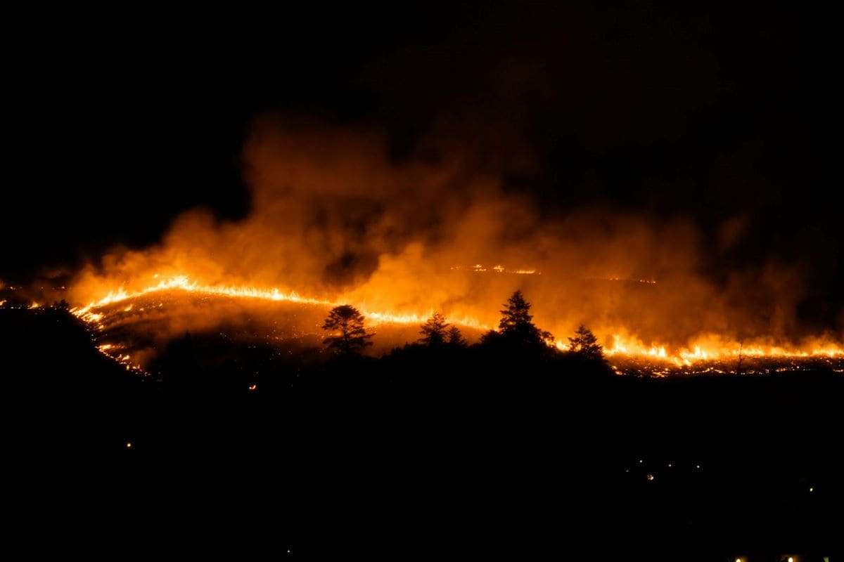 Incendi boschivi in Spagna, in una settimana le emissioni più alte da 23 anni