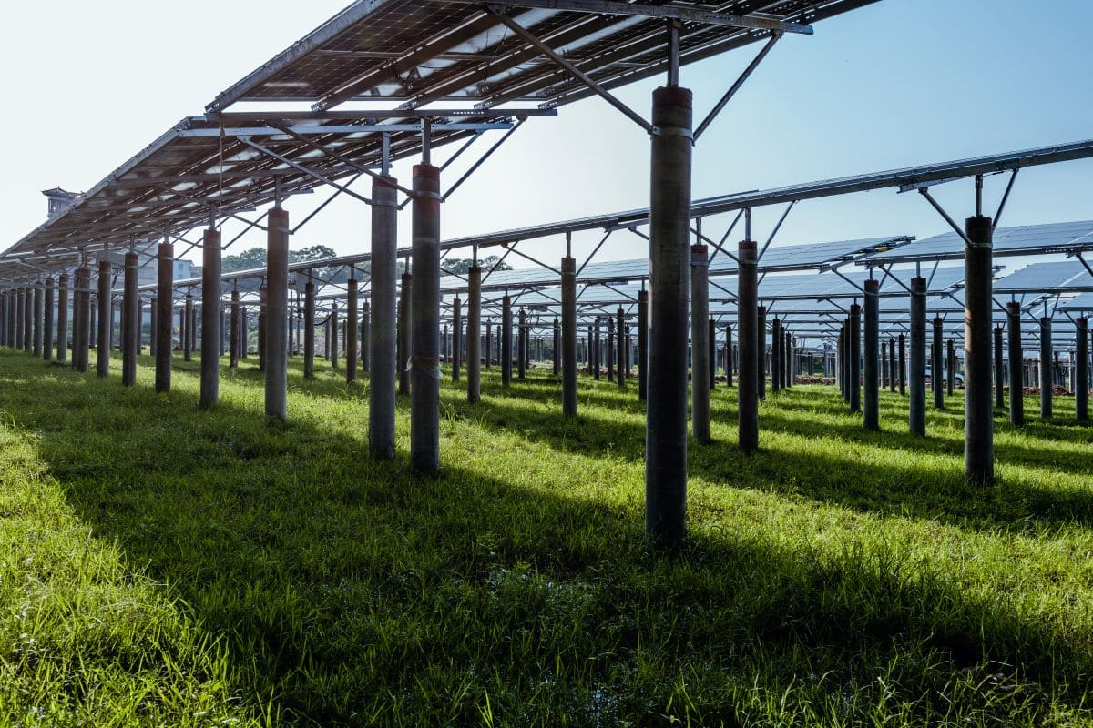 Innovatec vende impianto fotovoltaico in Calabria per 4,4 milioni di euro