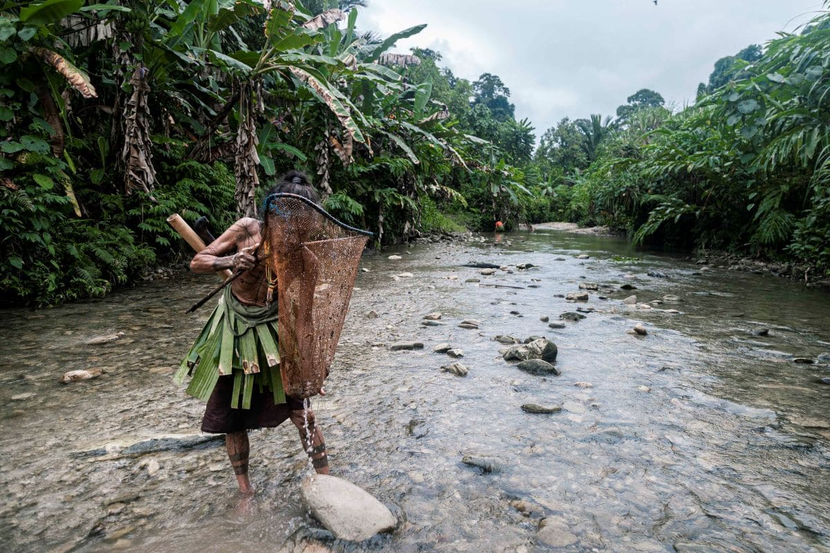 Integrating Knowledge for the Conservation of Amazonian Biodiversity
