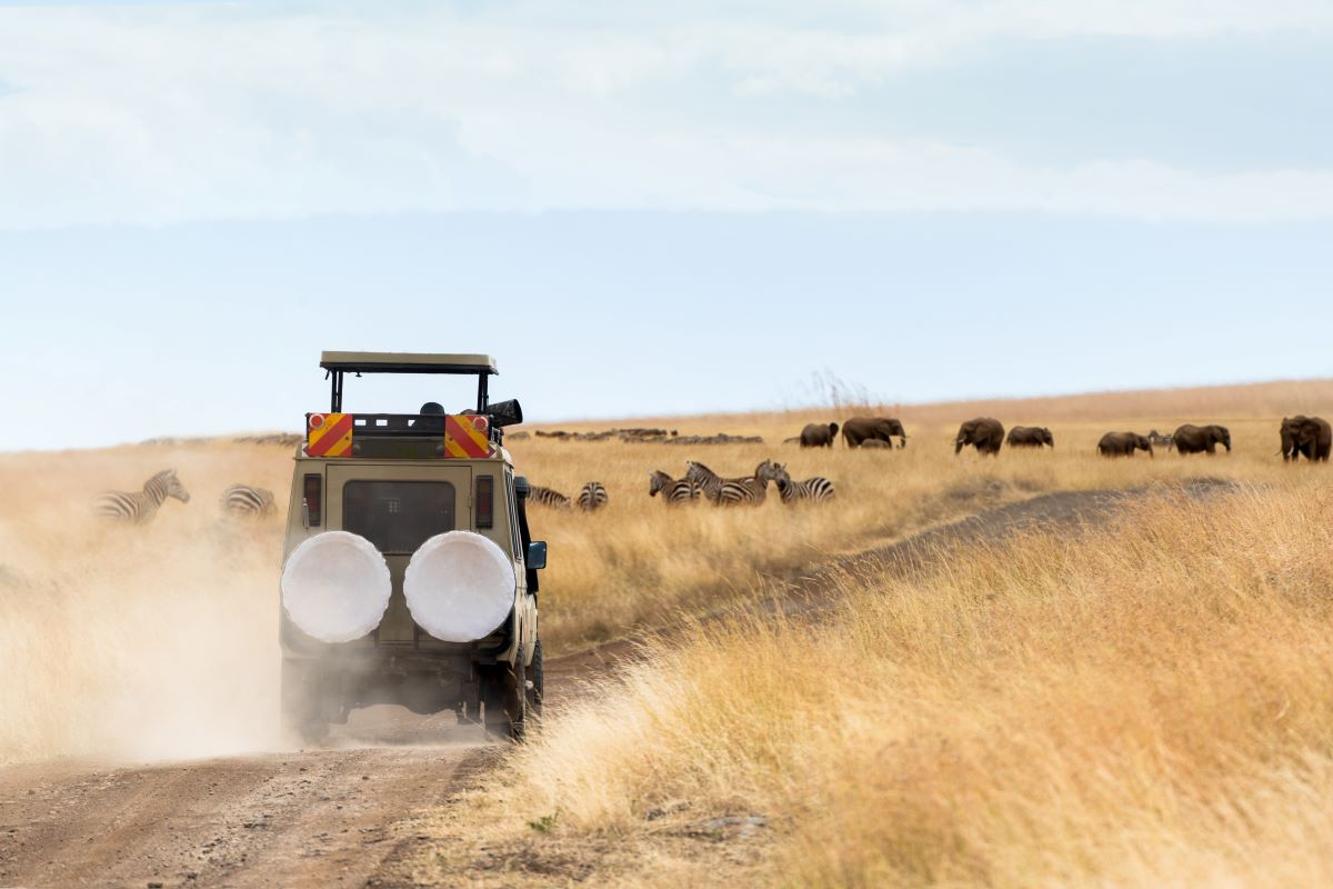 I problemi del turismo di lusso dei safari in Africa